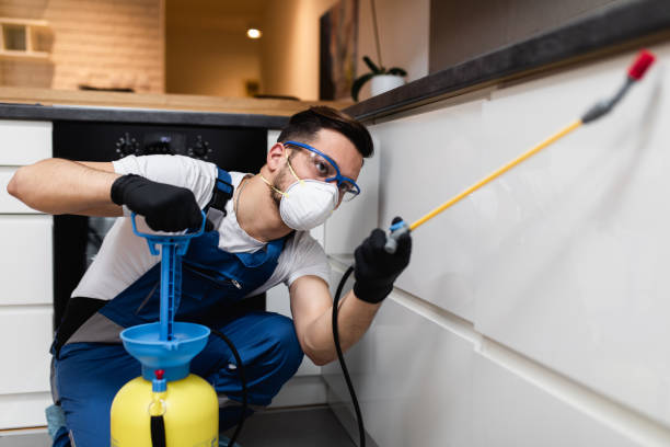Best Affordable Pest Control Services  in Twin Lake, MI