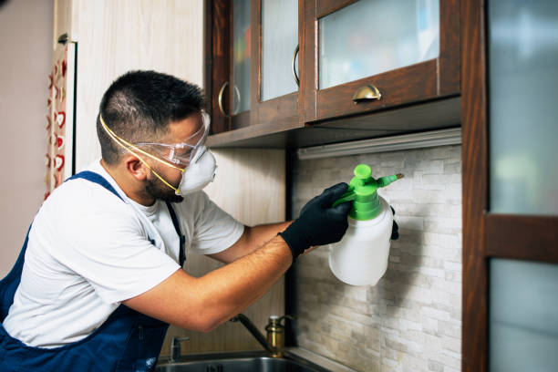 Best Mosquito Control Services  in Twin Lake, MI