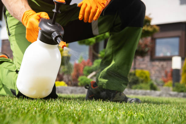 Best Best Pest Control Near Me  in Twin Lake, MI