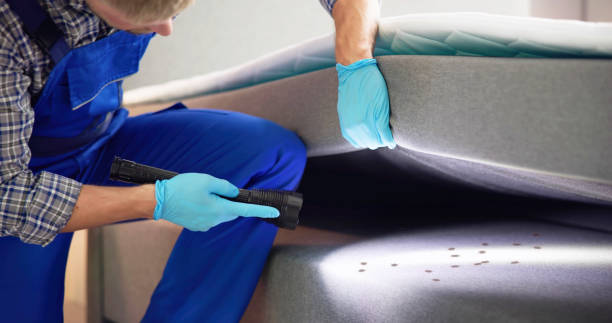 Reliable Twin Lake, MI Pest Control Solutions