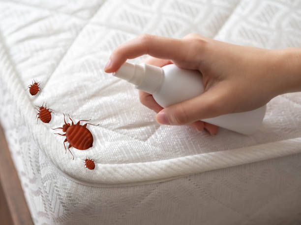 Best Pest Removal Services  in Twin Lake, MI