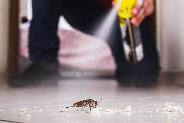 Best Pest Prevention Services  in Twin Lake, MI
