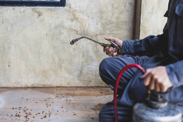 Best Pest Inspection Near Me  in Twin Lake, MI
