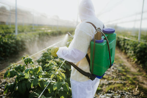 Best Local Pest Control Services  in Twin Lake, MI